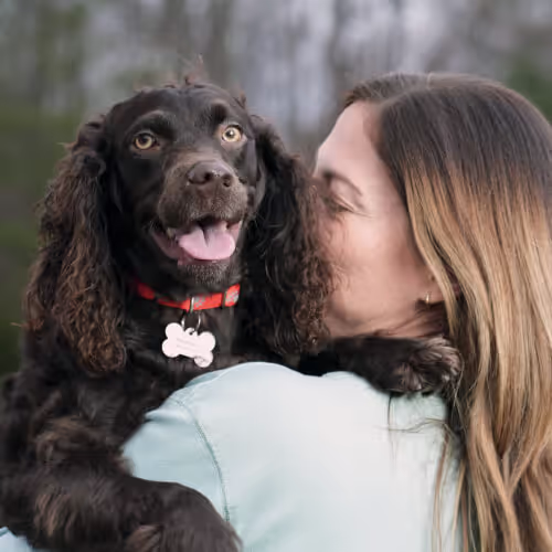 Placa de identificación para mascotas gratis de FidoAlert - Sin tarjeta de crédito